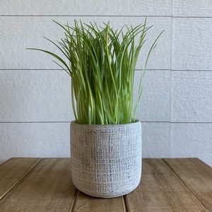 Faux green plant in cement planter